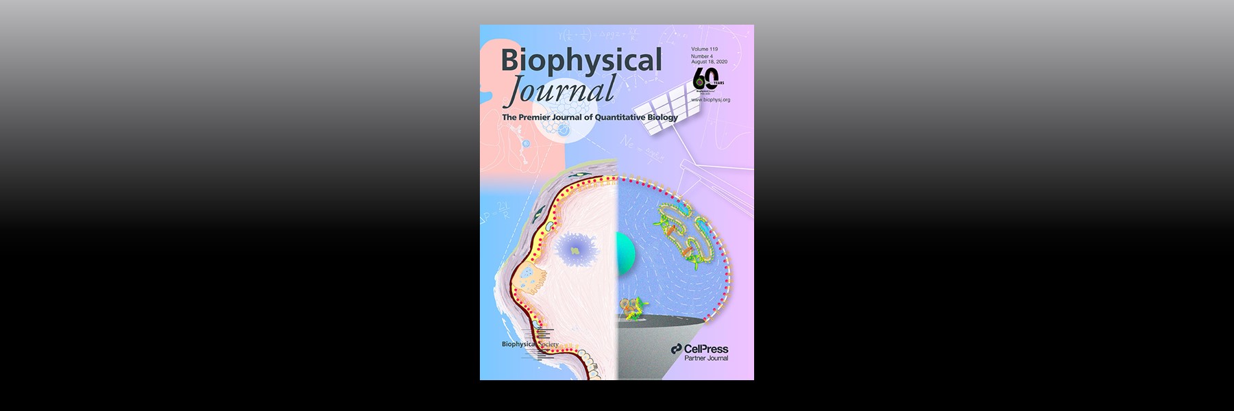 Image Of Biophysical Journal Cover.