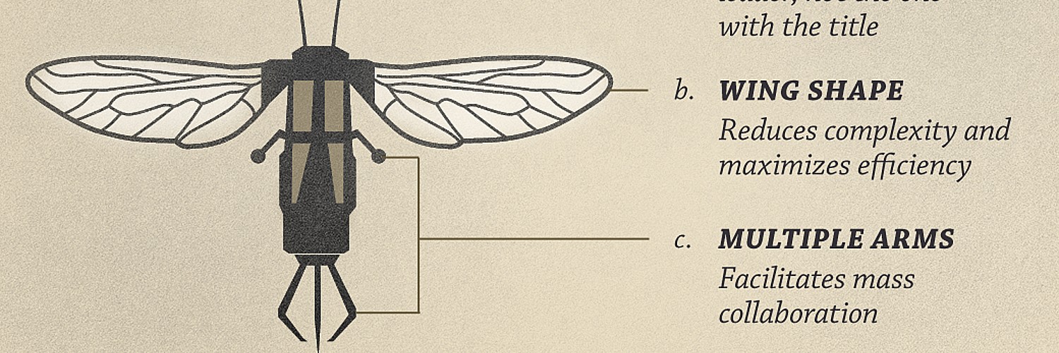Diagram Of A Robot Insect
