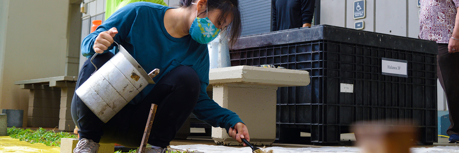 Woman Applying Wet Cement