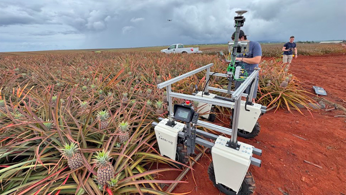 The Team’s Robot And Drone Duo Prepare To Survey Dole Plantation Fields. They Are Both Powered By AI, With The Drone Counting The Number Of Pineapples And The Robot’s Camera Creating Images Of Individual Fruit To Measure The Size And Volume Of Each Pineapple.